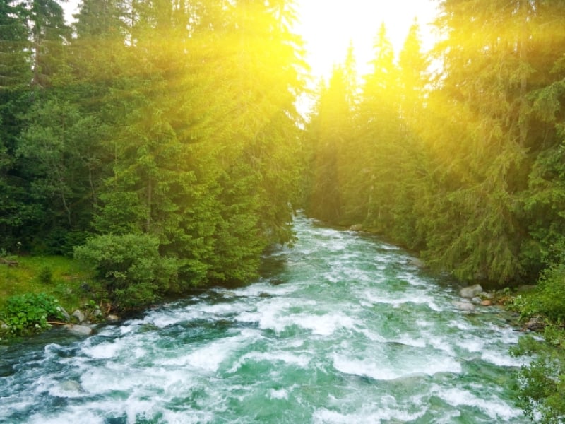The Inescapable Lens: Why Worldview Matters to Christian Education